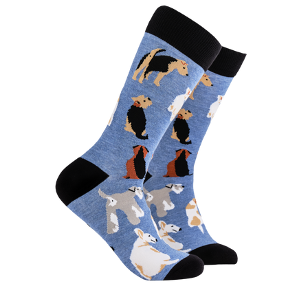 Terrier Tales Socks | Soctopus