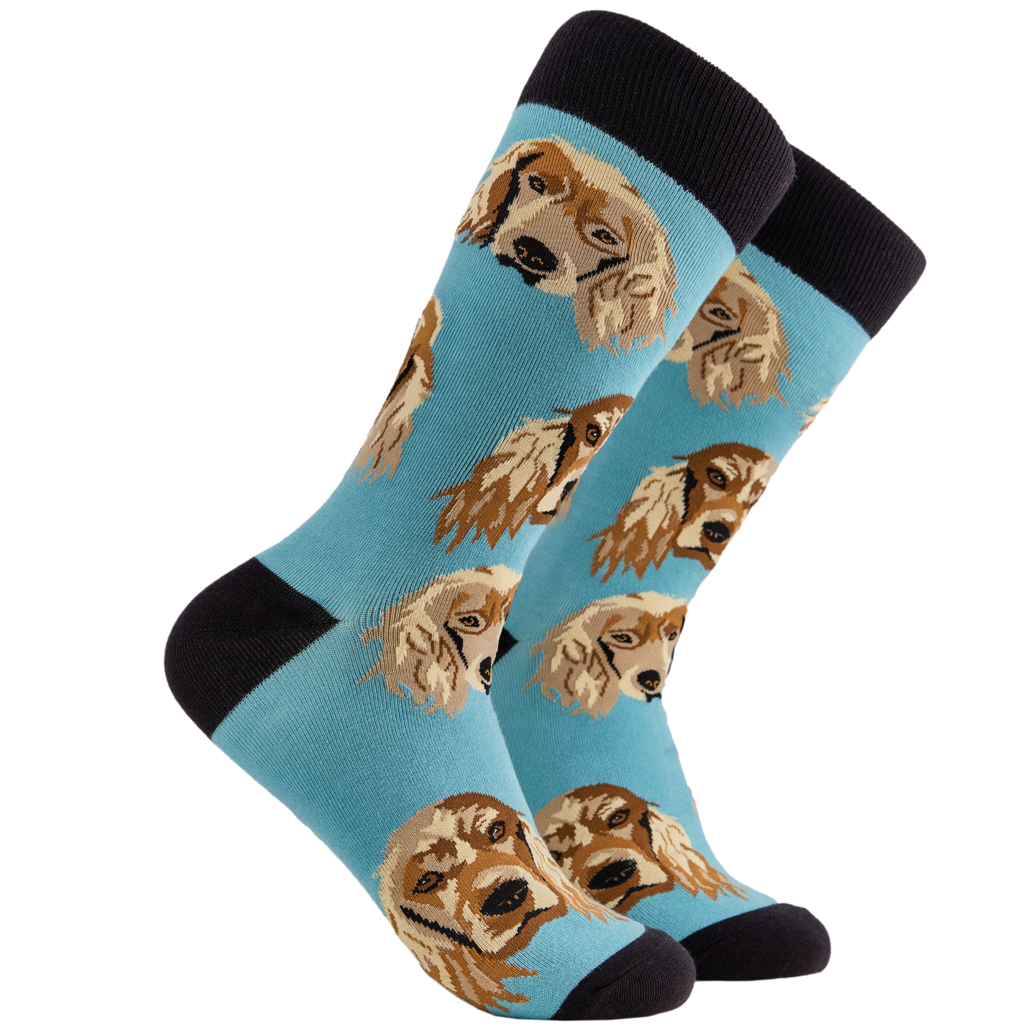 Cocker Spaniel Socks