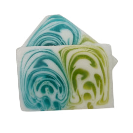 Aloe Vera Scented Handmade Bar Of Soap | B Well Life