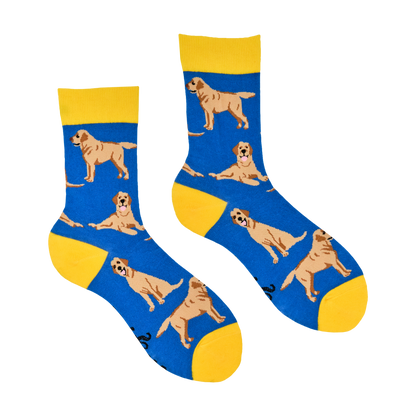 Labrador Retriever Socks - Labradorable